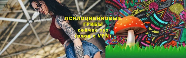 крисы Балабаново