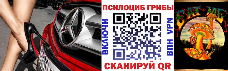 KRAKEN онион  Шлиссельбург  Псилоцибиновые грибы MAGIC MUSHROOMS 