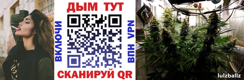 Канабис SATIVA & INDICA  купить   Шлиссельбург 